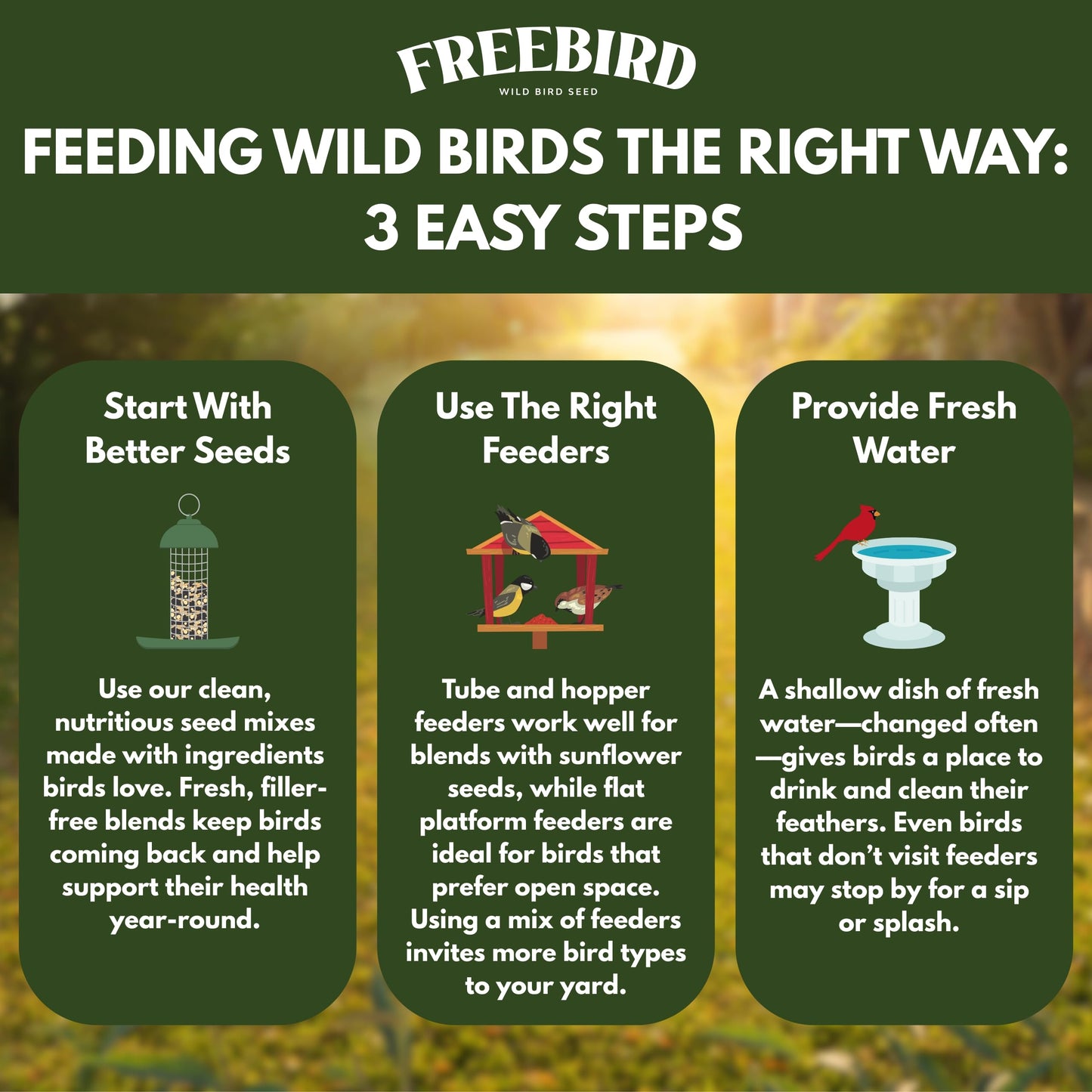 Premium No Mess Bird Seed by Freebird - Peanut Pieces, Sunflower Hearts, Sunflower Chips - 100% Waste Free Bird Food for Finches and Small Songbirds - 7lb Bag