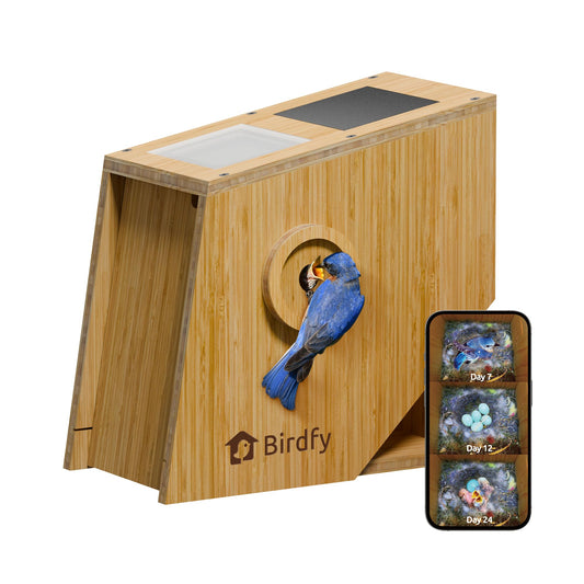 Birdfy Smart Bird House with Camera Lifetime AI Identify Auto-Record Nesting Stages & Alerts, Remote Control Night Vision Battery & Solar Outdoor-Ready, Gift for Nesting Watching Enthusiasts
