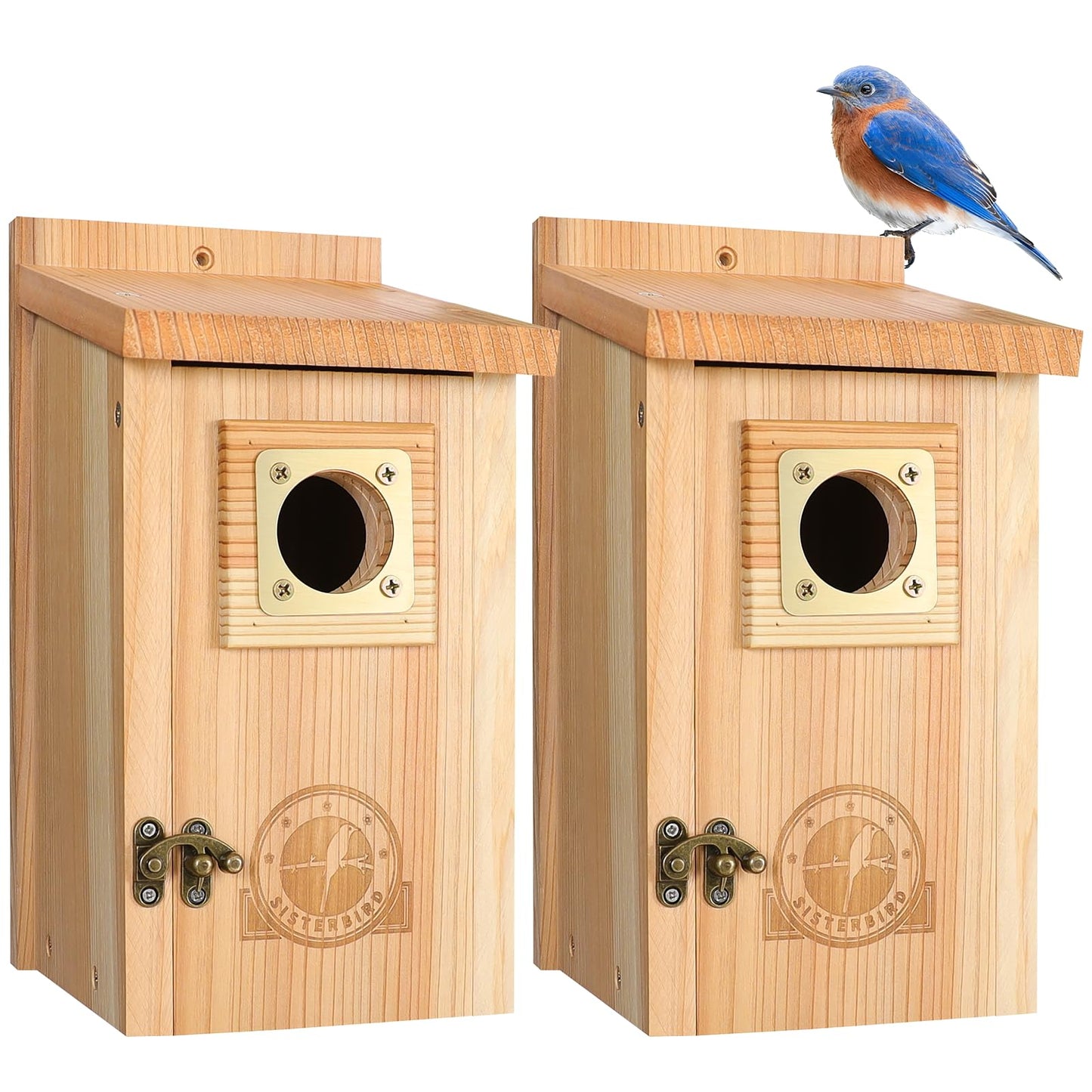 SISTERBIRD 2 Pack Bird Houses for Outside Clearance with Copper Guard, Cedar Bird House Outdoor, Bluebird Finch Swallow Wren Chickadee Assembly Required