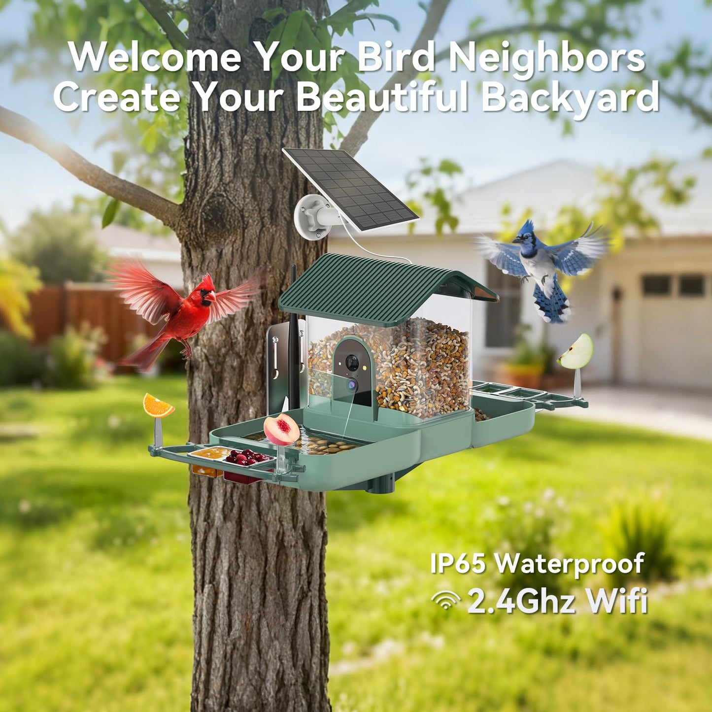 KUIKEO Dual-Lens Bird Feeder with Camera & Bird Bath Combo, Watch Birds Eat & Bathe with WiFi 2K HD Video, Auto Record, AI Recognition, APP Alerts, Solar Powered, for Backyard Garden Porch Fence Decor