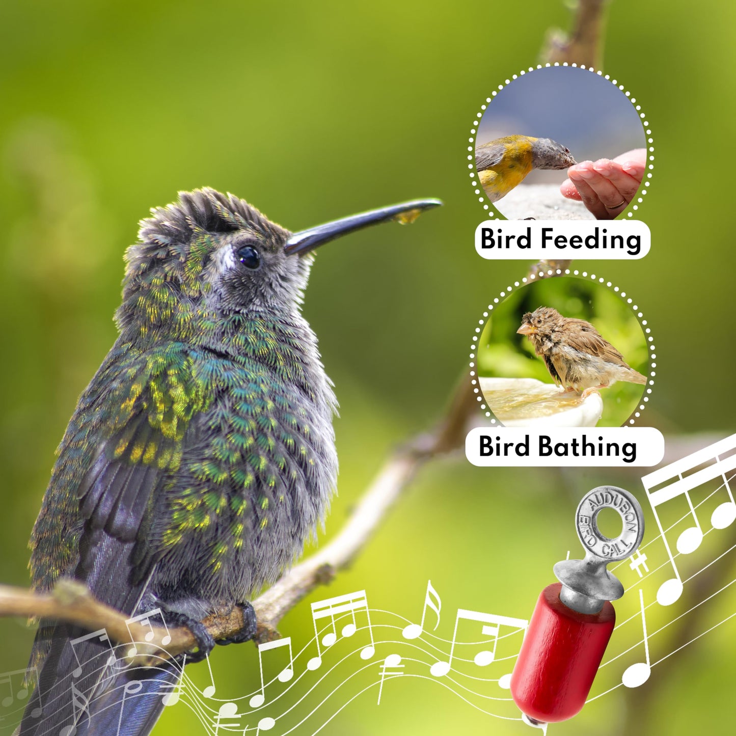 Audubon Bird Call - Red Gift Pack