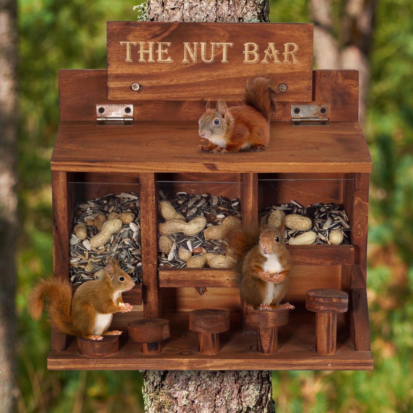 MIXUMON Squirrel Feeder Table The Nut Bar, Wooden Squirrel Picnic Table Feeder, Durable Squirrel Feeder Corn Cob with 3 Compartments, Stable Squirrels Stool Bar, 12.2 x 6.6 x 12.2 Inches