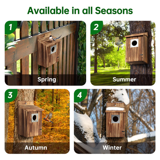 Bird Houses for Outside with Metal Predator Guard for Bluebird Wren Swallow Finch, Carbonized Wooden Nesting Boxes for Outdoor, Sturdy Bird House,Easy to Clean