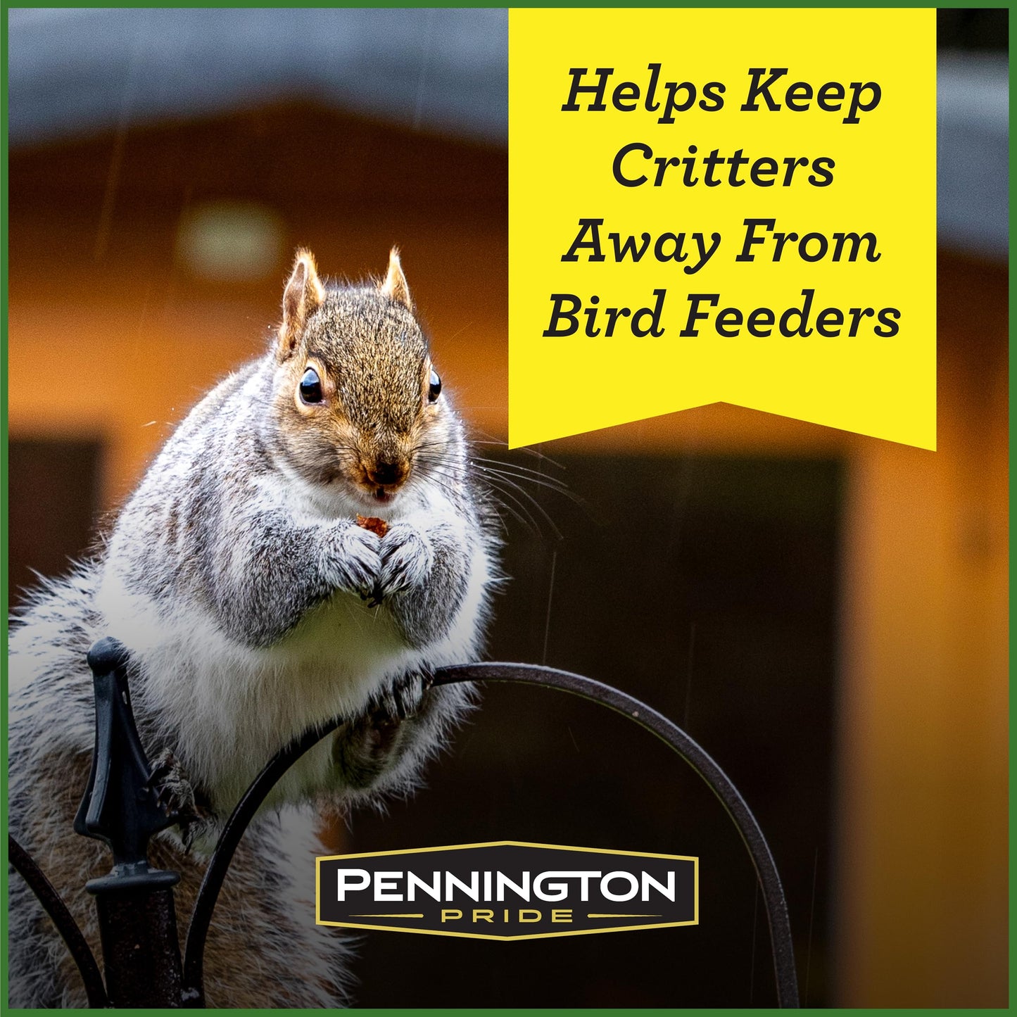 Pennington Pride Squirrel & Critter Blend With Corn, Sunflower Seeds and Peanuts, Helps Keep Critters Away From Bird Feeders, 10-lb. Bag