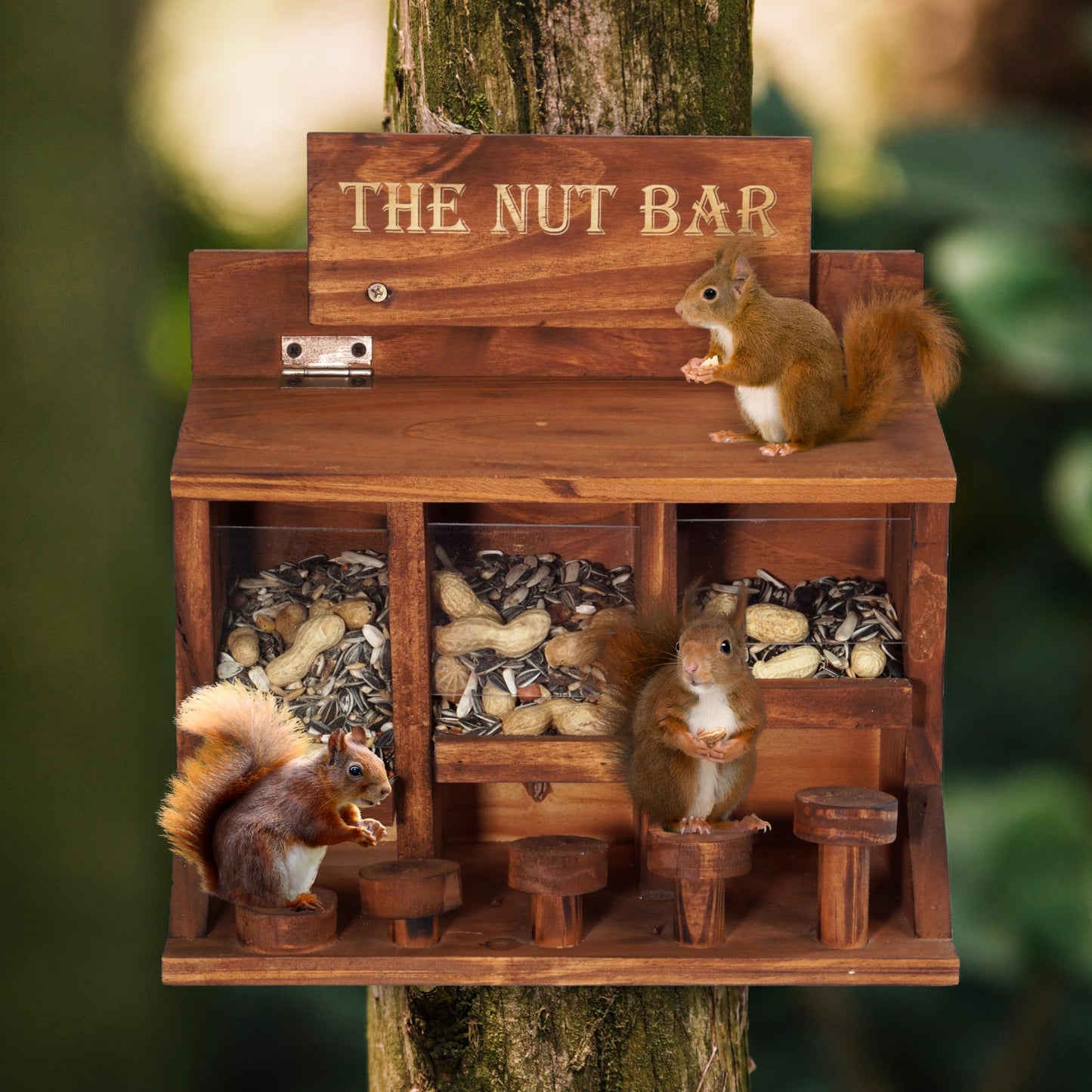 MIXUMON Squirrel Feeder Table The Nut Bar, Wooden Squirrel Picnic Table Feeder, Durable Squirrel Feeder Corn Cob with 3 Compartments, Stable Squirrels Stool Bar, 12.2 x 6.6 x 12.2 Inches