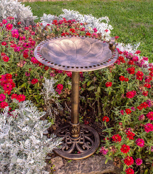 Outdoor Garden Bird Bath- Bronze- Weather Resistant Polyresin-30 Inch-Backyard Expressions