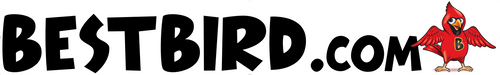 BestBird.com